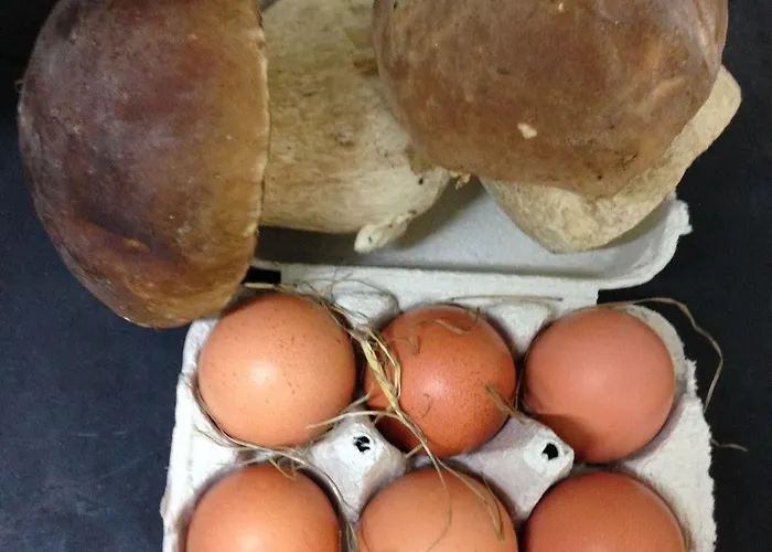 Гостевой дом Kaixo *