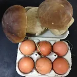 Гостьовий будинок Kaixo *
