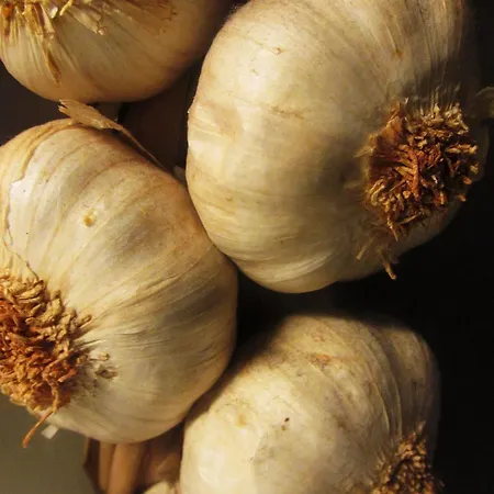 Kaixo Maison d'hôtes Saint-Sébastien