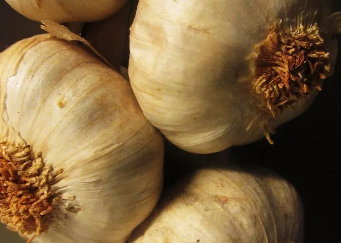 Kaixo بيت ضيافة سان سيباستيان